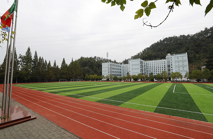重慶人造草坪球場